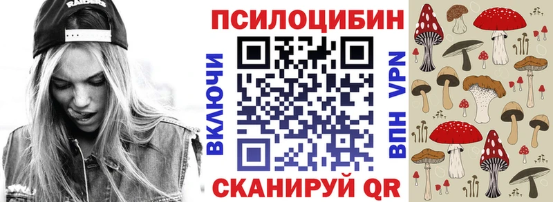 Псилоцибиновые грибы Psilocybe kraken ссылки Ленинск-Кузнецкий
